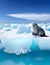 Seal on ice floe arctic landscape. illustration of cute north pole animals. Northern seal. For the design of holiday cards,