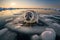 Seal on the ice of the lake. Generative AI