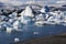 Seal and icebergs at Jokulsarlon Glacial Lagoon - Iceland