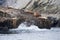 Seal lions on rocky shoreline