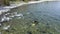 Seal nerpa on lake coast Baikal shore aerial view. Sea lion jump dive into water and swim. Colony