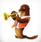Seal playing trumpet