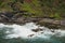 Seal relaxing on rocks in hawaii kauai