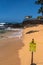 Seal resting on Poipu Beach, Kauai, Hawaii