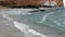 Seal and Sea Gulls Play at Childrens Pool