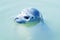 Seal serene looking cuty