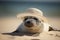 Seal wearing summer straw hat on beach. Generative AI