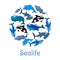 Sealife poster with vector sea and ocean fishes