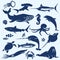 Sealife, sea and ocean animals and fish silhouettes