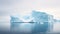 seals antarctic tundra landscape