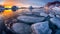 Seals basking in sunrise glow on icy outcropping