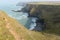 Seals on beach Mutton Cove near Godrevy Cornwall coast England UK