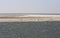 Seals bench between Ameland and Terschelling Islands