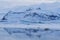 Seals and Blue Mountains Reflected