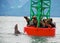 Seals on buoy in Alaska