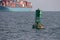 Seals on buoy with container ship.