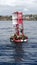 Seals on buoy at Newport Beach California