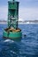 Seals on buoy, Santa Monica Bay, Santa Monica, CA