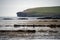 Seals on Mainland, Orkney islands, Scotland