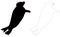 Seals or pinnipeds silhouette - semiaquatic marine mammals
