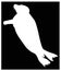 Seals or pinnipeds silhouette - semiaquatic marine mammals