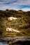 Seals relaxing on the Icelandic beach