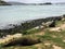 Seals relaxing on the shores of the Otago Peninsula outside of D