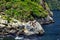 Seals resting on the rocks in Milford Sound