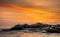 Seals silhouettes on Sunrise Background. Seal Island on sunrise.