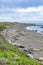 Seals sleeping at the beach near San Simeon