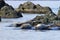 Seals spotted seal, largha seal, Phoca largha laying on coastal rocks. Wild spotted seal sanctuary. Calm blue sea, wild marine m