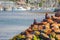 Seals Sunning On Rocks In Newport Oregon