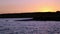 Seals Swimming In Rogue River At Sunset