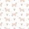 Sealyham terrier seamless pattern. Different poses, coat colors set