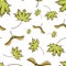 Seamles scolored maple leaf and seeds pattern. vintage colored engraved illustration of maple leaf. Green leaf on begie background