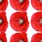 Seamless abstract background pattern large poppies