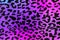 Seamless abstract background of purple and blue animal print background