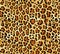 Seamless abstract pattern on a skin leopard texture, snake.