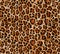 Seamless abstract pattern on a skin leopard texture, snake.