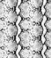 Seamless abstract pattern on a skin texture, snake.