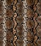 Seamless abstract pattern on a skin texture, snake.