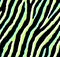 Seamless acid green and lime zebra pattern 80s 90s style.Fashionable colorful exotic animal print