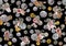 Seamless ancient coins pattern with watercolor flowers on black background t.