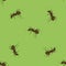 Seamless Animal Pattern. Ant