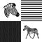 Seamless animal pattern skin fur vector zebra pack