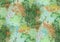seamless animal pattern with stylized green chameleon reptile skin for textile
