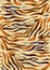 Seamless Animal Skin Pattern, Colored Zebra Skin Ready for Textile Prints.