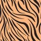 Seamless animalistic print, black and orange, imitates the skin of a tiger.