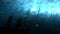 Seamless animation of deep blue ocean with shipwreck background. Ship sunk in undersea water as a silhouette background