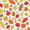 Seamless Autumn Fall Leaves Pattern Vector